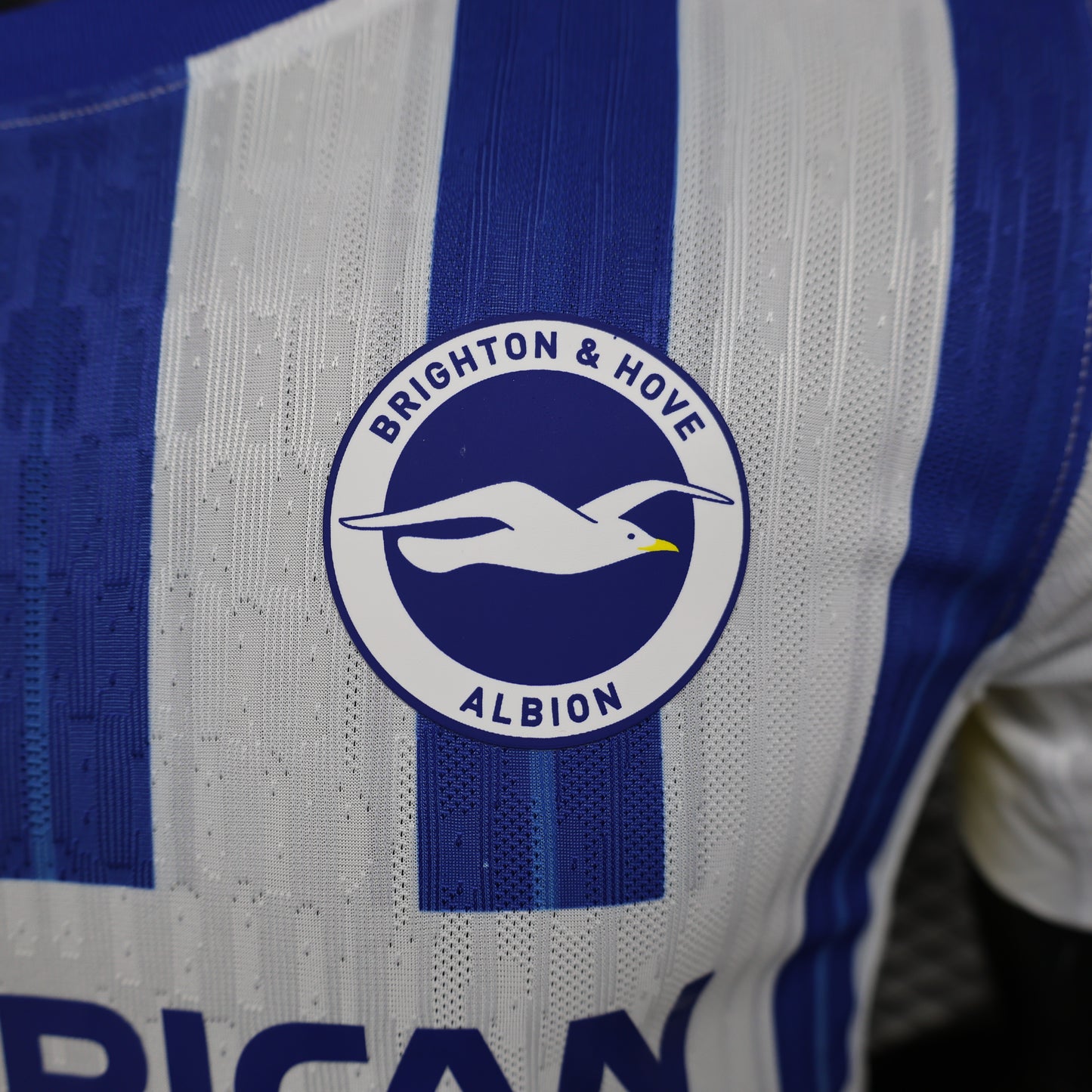 Camiseta Brighton Local 2024-25 | Versión jugador