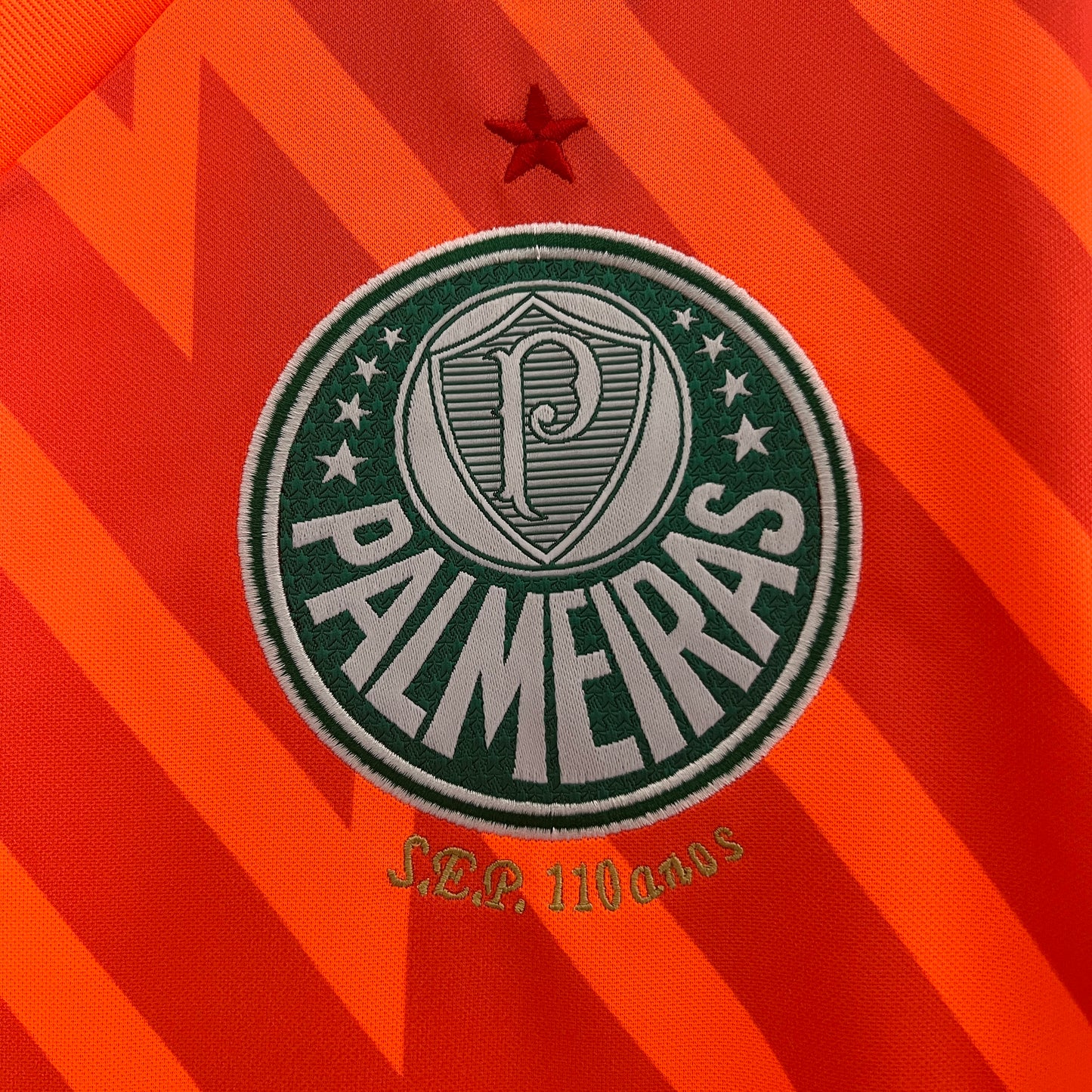 Camiseta Palmeiras 2024/25 | Versión fan Portero